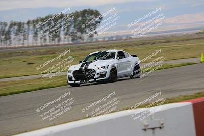 media/Mar-30-2025-Speed Ventures (Sun) [[39e6b1441d]]/Black/Front Straight/